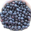 About Freezing Blueberries