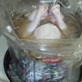 apple cider turkey brine