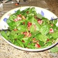 Apple, Walnut, and Mixed Greens Salad with Zinfandel-cranberry Vinaigrette