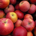 Applicious Dip