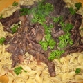Aura's Choice Stroganoff