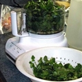 Basic Pesto Recipe