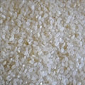Basic Sushi Rice