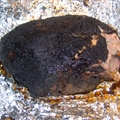 Bbq Rub
