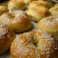 Best Ever Bagels