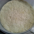 Biga (Italian Bread Starter)