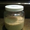Bills Sourdough Starter