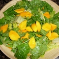 Blended Mango Salad - Dr. Fuhrman