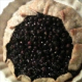 Blueberry Galette