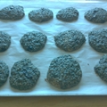 Blueberry oatmeal cookies