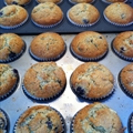 Blueberry and Sour Cream Muffins