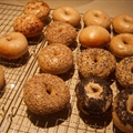 Bodacious Bagels