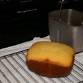Bread Machine - Cornmeal Bread