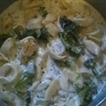 Broccoli Cheese Tortellini