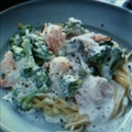Broccoli Shrimp Alfredo