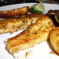 Bronzed Talapia