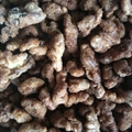 Candied Walnuts