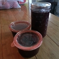 Cranberry Sauce (Better Than Canned)