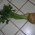Celery Root Remoulade