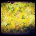 Cheesy Chicken & Rice Casserole