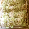 Hannah Holzmann Chicken Enchiladas with Avocado Cream Sauce
