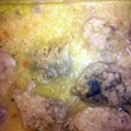 Chicken Lickin' good Pork Chops