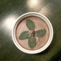 Chicken Liver Pate