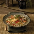 Chicken Noodle Soup - Asian Style