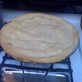 chicken pot pie