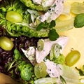 Chicken salad with tarragon and grapes