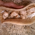 Chicken Souvlaki