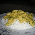 Chicken with Cilantro and Onions