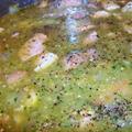 Chile Verde