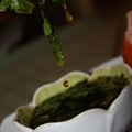 Chimichuri Sauce for Steaks