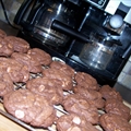 Chocolate Brownie Cookies