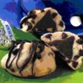 Chocolate Chip Kiss Cookies