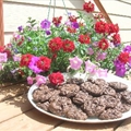 Chocolate Chocolate Chip Cookies