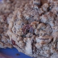 Chocolate Cranberry Oatmeal Cookies