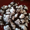Chocolate Crinkles