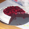 Chocolate Mayonnaise Cake #2