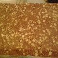 Chocolate Protein Bars