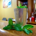 Churchill Downs Mint Julep
