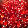 Cranberry Sauce with Port and Cinnamon