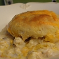 CREAMED CHICKEN with BISCUITS (19)