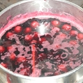 Croatian sour cherry (marasca) sauce