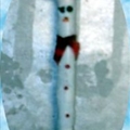 Crunchy The Snowman