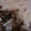 Easy Shepherd's Pie