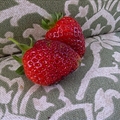 Easy Strawberry Freezer Jam