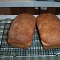 Family Style White Bread