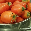 Fresh Tomato and Basil Sauce